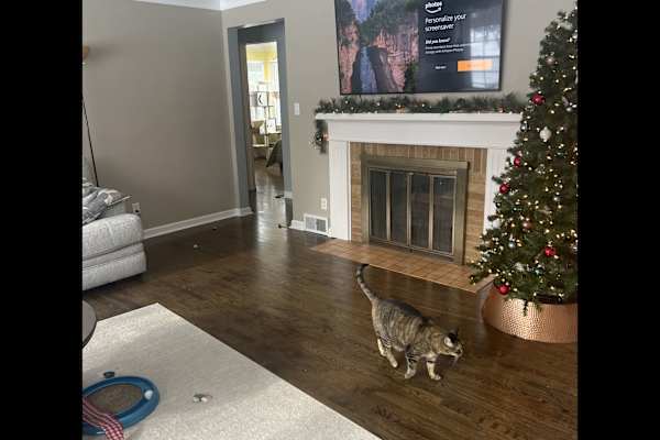 Owosso, Michigan, United States