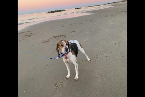 Norfolk, Virginia, United States