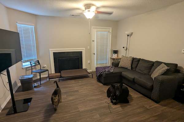 Cary, North Carolina, United States