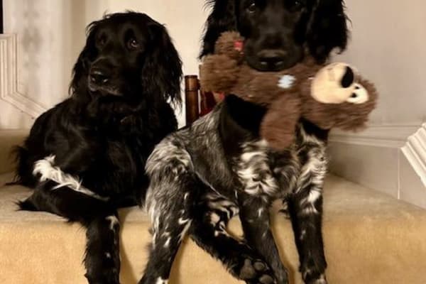 Kirkmichael, Scotland, United Kingdom