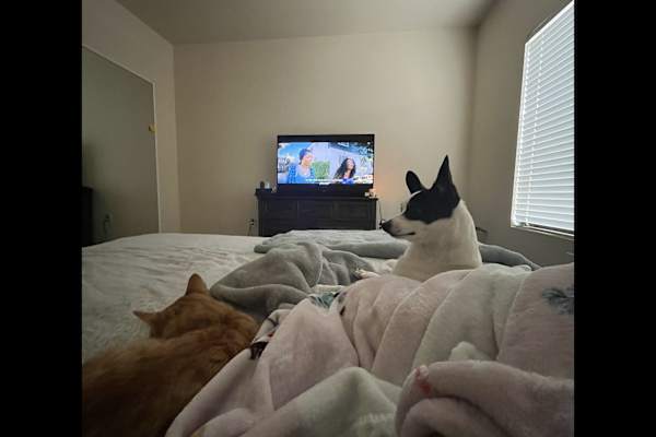 Carlsbad, New Mexico, United States