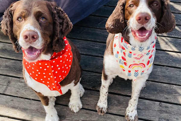 Saskatoon, Saskatchewan, Canada