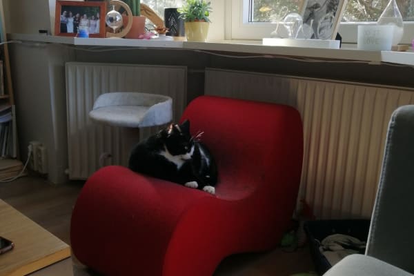 Scheveningen, South Holland, Netherlands