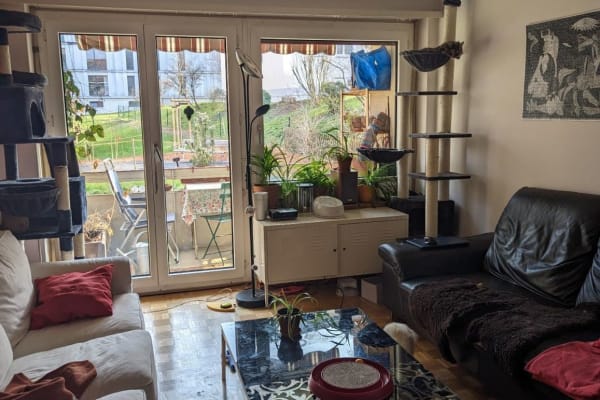 Zürich, Zurich, Switzerland