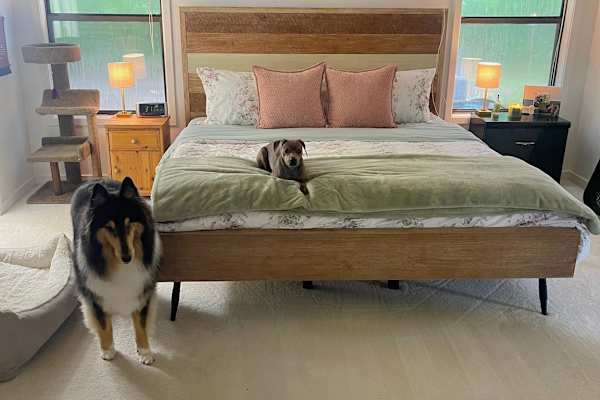 Wilmington, North Carolina, United States