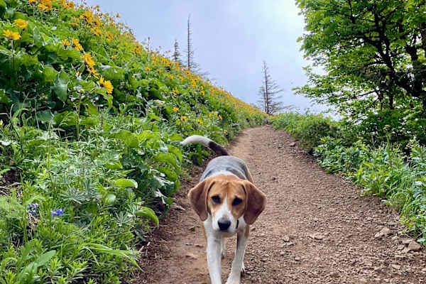 Portland, Oregon, United States