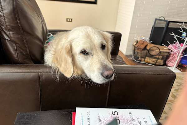 Chicago, Illinois, United States