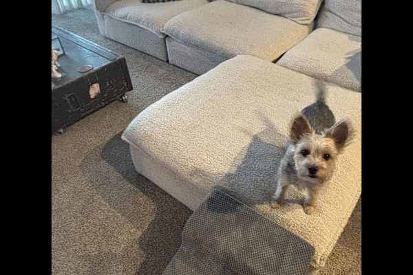 Millcreek, Utah, United States