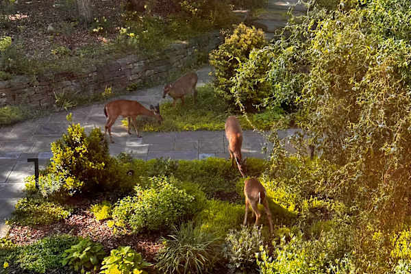 Durham, North Carolina, United States