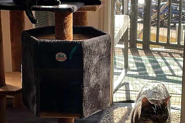 Atlanta, Georgia, United States