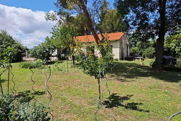 Arles, Provence-Alpes-Cote d'Azur, France