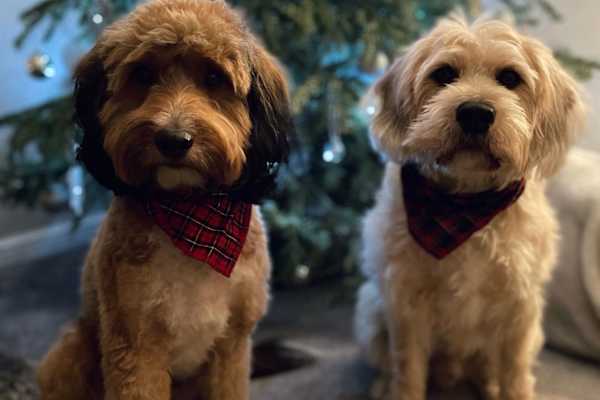 Hedge End, England, United Kingdom