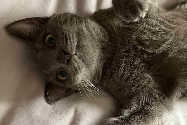 Maidstone, England, United Kingdom