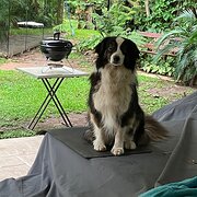 Forestdale, Queensland, Australia