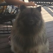 Bucasia, Queensland, Australia