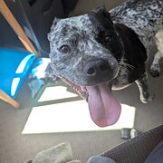 Midway Point, Tasmania, Australia