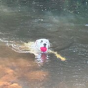 Minbun, Queensland, Australia