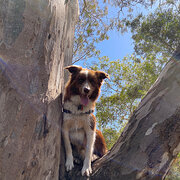 Northcote, Victoria, Australia