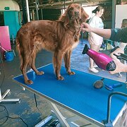 Safety Bay, Western Australia, Australia