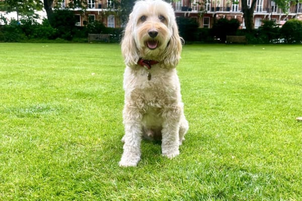 London, England, United Kingdom