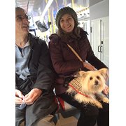 Cr3 5td, South East England, UK