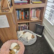 Tullimbar, New South Wales, Australia