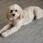 Maroochydore, Queensland, Australia