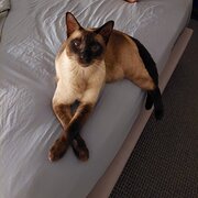 Paradise Point, Queensland, Australia