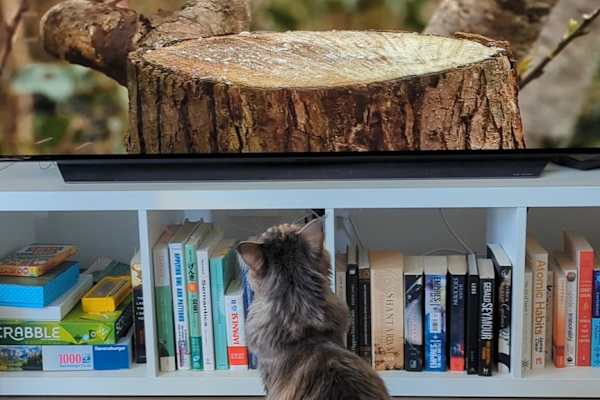 Sydney, New South Wales, Australia