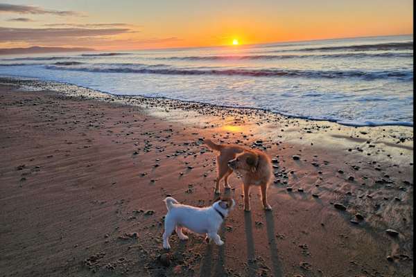 Amberley, Canterbury, New Zealand