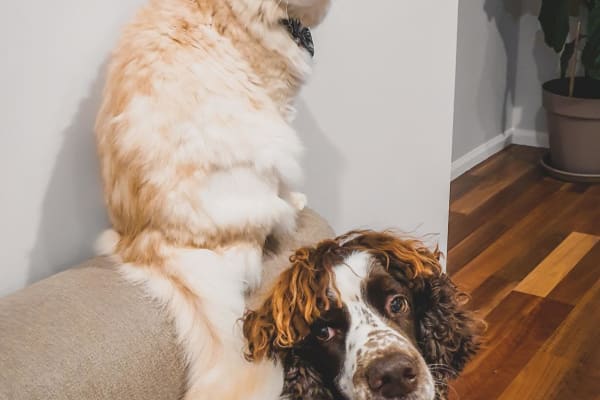 Wanaka, Otago, New Zealand