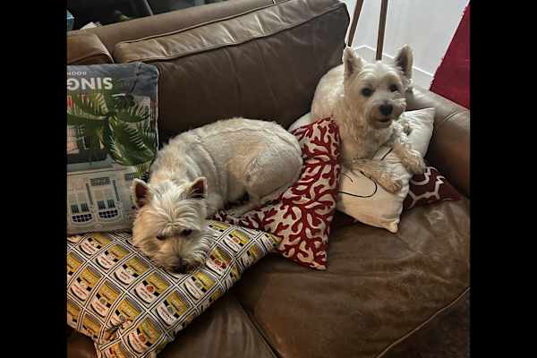 Sydney, New South Wales, Australia