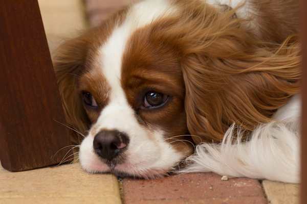 Perth, Western Australia, Australia