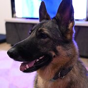 Pelican Waters, Queensland, Australia