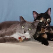 Hervey Bay, Queensland, Australia