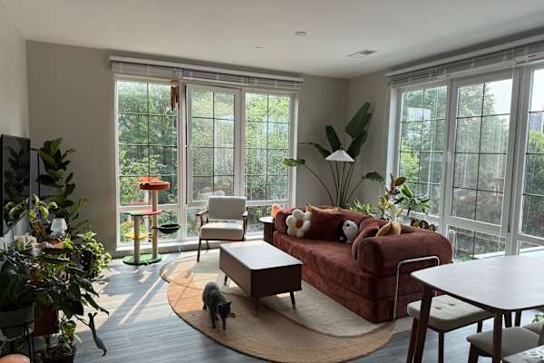 New Haven, Connecticut, United States