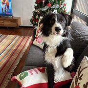 Graceville, Queensland, Australia