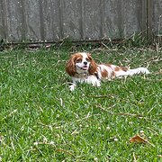 Miami, Queensland, Australia