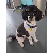 Palm Beach, Queensland, Australia