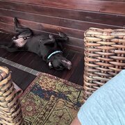 Kuranda, Queensland, Australia