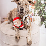 Hervey Bay, Queensland, Australia