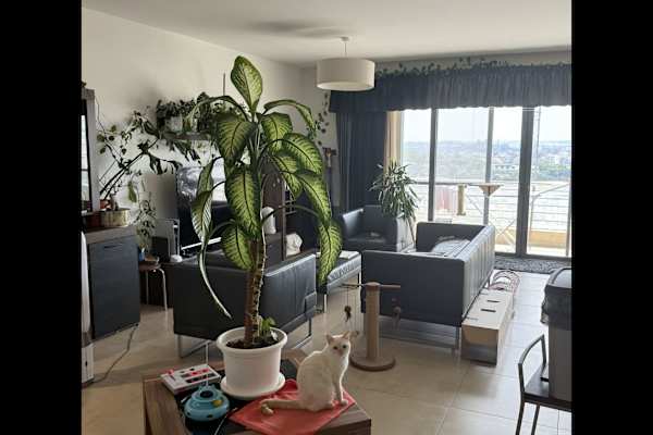 Sliema, Tas-Sliema, Malta