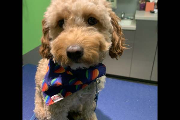 Playa del Carmen, Quintana Roo, Mexico