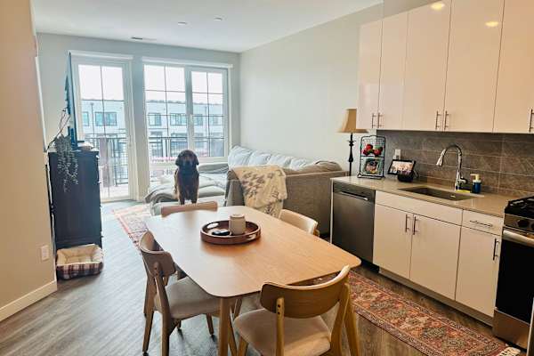 New Haven, Connecticut, United States