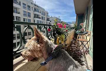 Genève,Geneva,Switzerland
