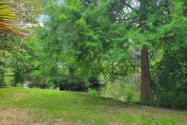 Charleston, South Carolina, United States