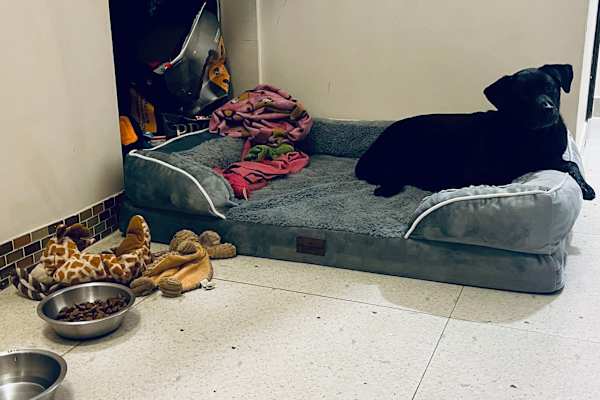 Tai Shui Hang, Hong Kong