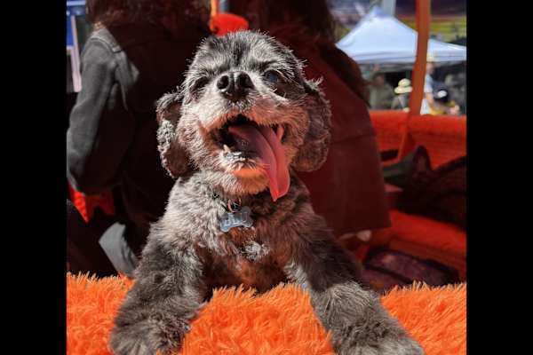 San Francisco, California, United States