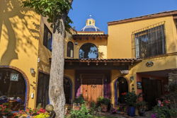 Cuernavaca, Mor, Mexico