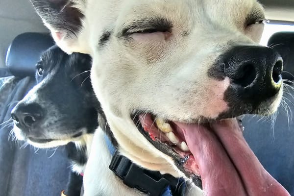 Centurion, Gauteng, South Africa